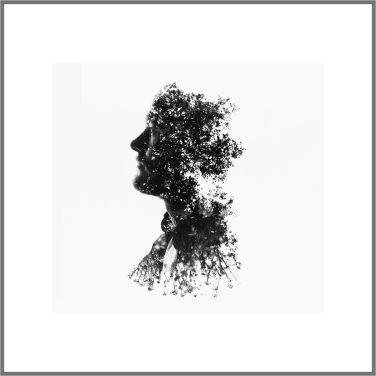dissolvenza