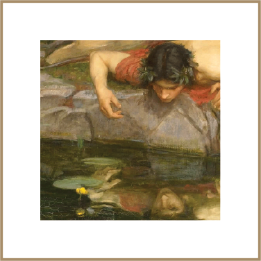 narcissus