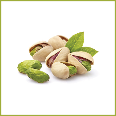 pistachio